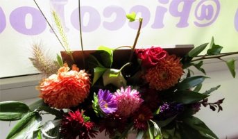 Aranjamente florale la ghiveci